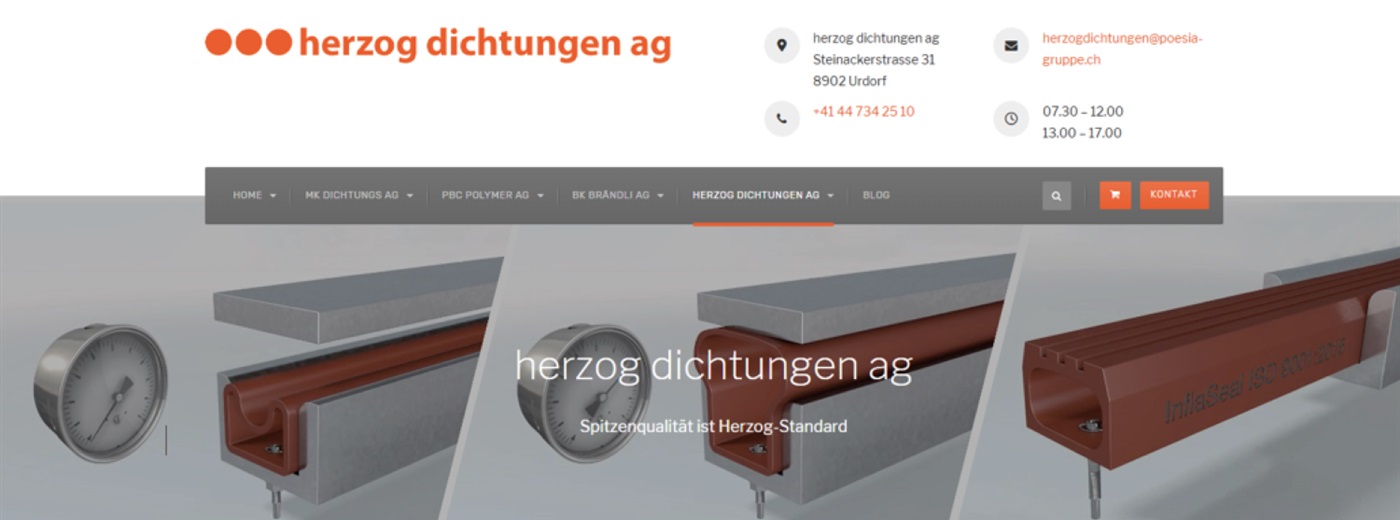 herzog dichtungen ag